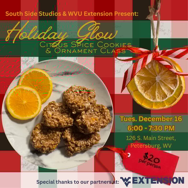 South Side Studios & WV Extension Present (3)